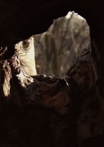an open cave with a cave like opening