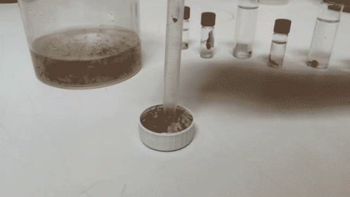 glassware with substance in it and five test tubes behind it