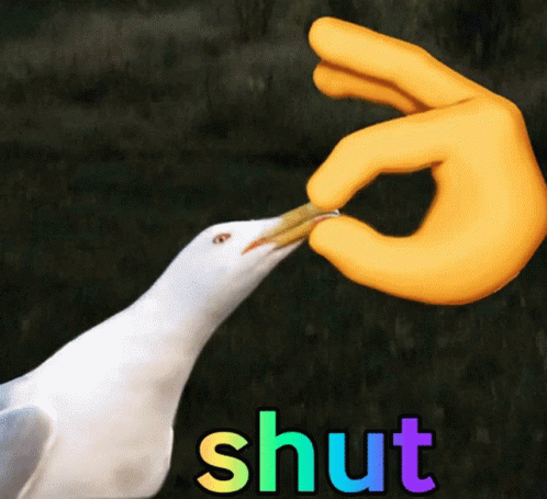a blue gloved hand touches a white bird that has it's beak out