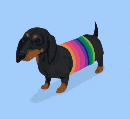 3d image of black dachshund dog wearing a rainbow t - shirt