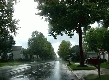 a wet street with many trees near it