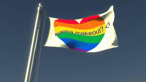 a white flag with a rainbow heart on it and the words wanna makeout?? underneath it