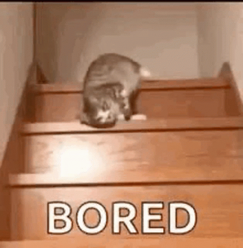 a cat laying down on some blue steps with the words bored above it