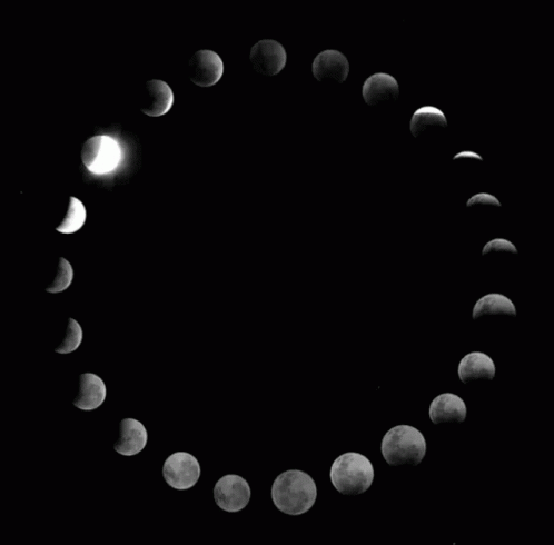the moon's phases are shown in a circular display