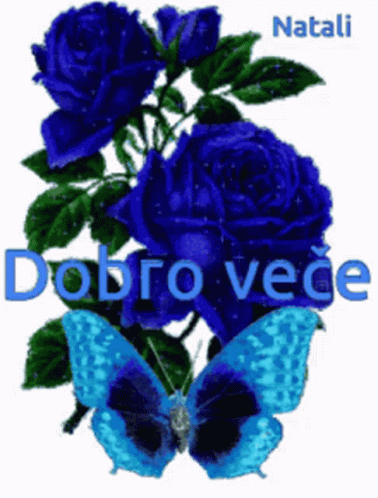 a picture of a erfly on roses with the words dobro vece
