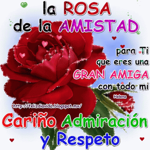 blue rose with a caption in spanish, and a message below