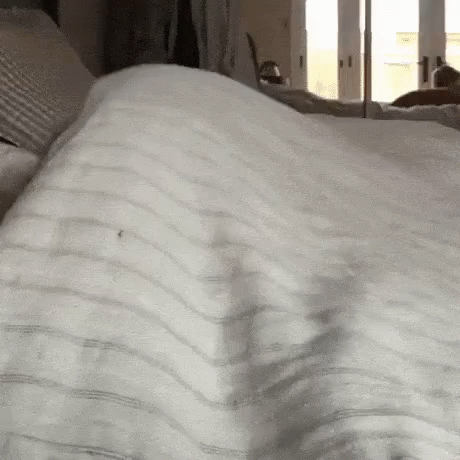 white blanket on top of a bed in front of window