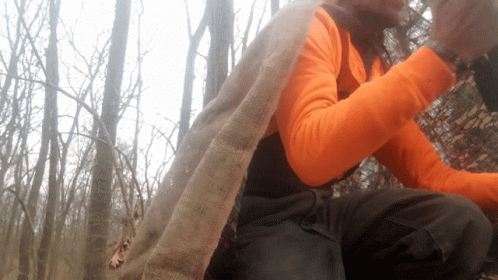 a man sits down in a tree with his hand on his face