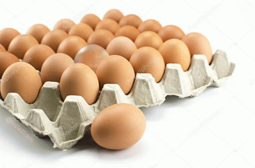 a dozen of blue eggs in an egg carton on a white background