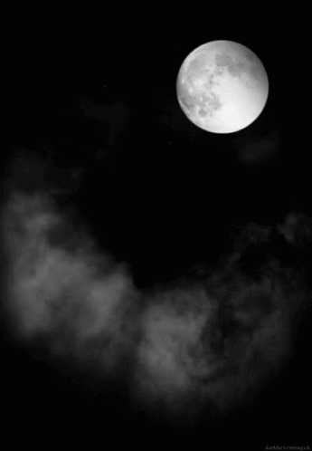 a full moon is in the dark black sky