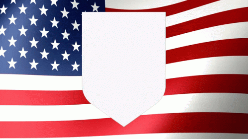 a flag is shown with the shield on it