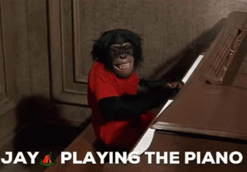 the monkey sits and plays the piano