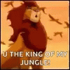 a picture of an animal with caption that reads u the king of my jungle