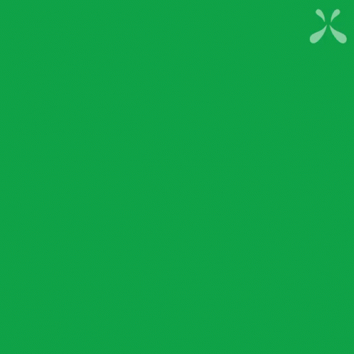 the green background shows a white and black pattern on it
