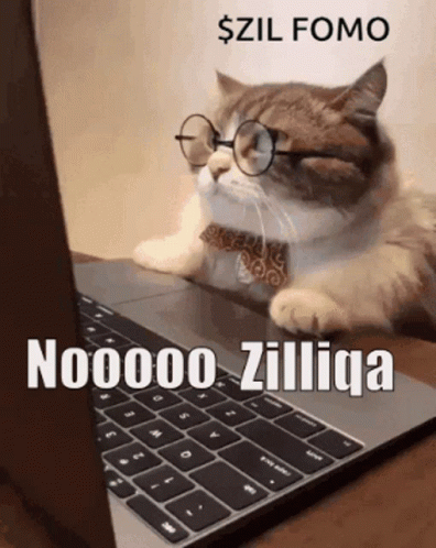 the caption for the picture depicts a cat wearing glasses in front of a computer