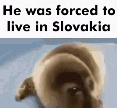 an animal with black ink appears to be on a page that says, he was forced to live in stovaki