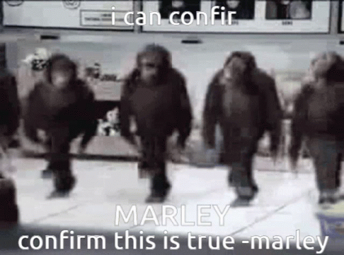 a group of gorilla like creatures are walking together