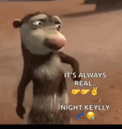 an image of cartoon animal saying it's always real night keyly