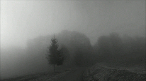 a foggy road with trees and hills behind it