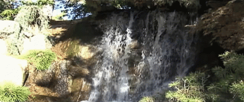 a waterfall in the middle of a forested area