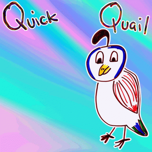 an artic bird has the words quick duul