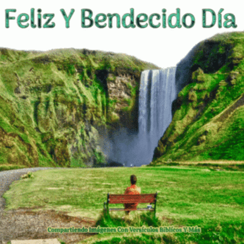 the cover of the spanish version of feliz y bendeckio dia, with a woman sitting on a bench in the background