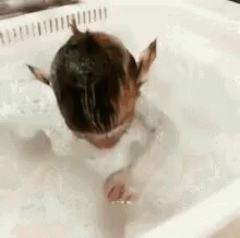 a cat in the bathtub playing with bubbles and water