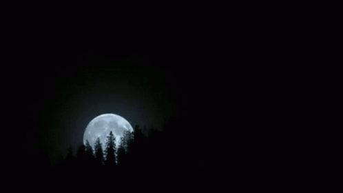 a large full moon seen over some trees
