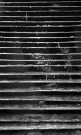 a cat is sitting inside of a heating grate