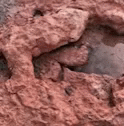 a close up view of the texture of rocks
