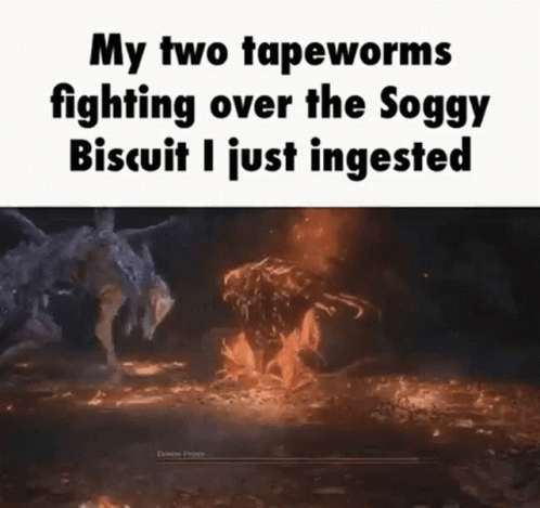 an article about the story of two tapeworms fighting over the snotgy biscuit i just invested