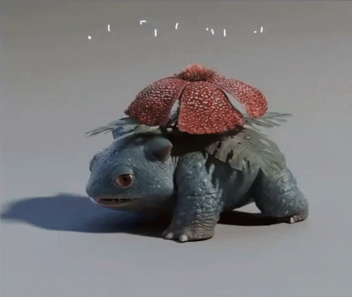 a toy tortoise in a blue hat is seen on the surface