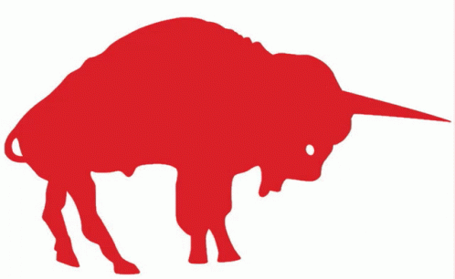 the silhouette of an bison with long horns