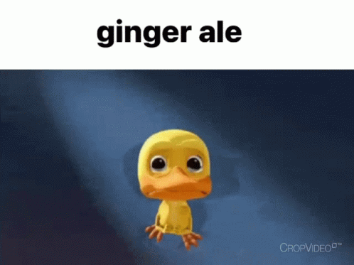 an animated blue bird in front of the caption gingerale