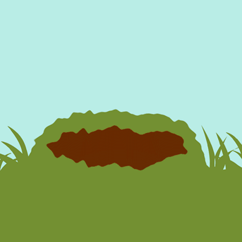 silhouette image of a frog on a green hill with grass