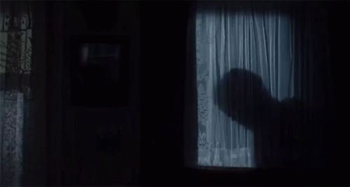 a silhouette is seen in the window at night