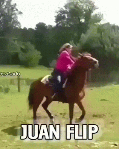 a girl riding a horse around a lot of rocks