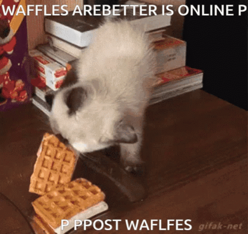 an animal sniffs at a waffles that is sitting on a desk