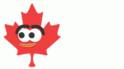 cartoonized maple leaf with canadian flag in background