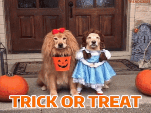 two dogs dressed up for halloween on front porch
