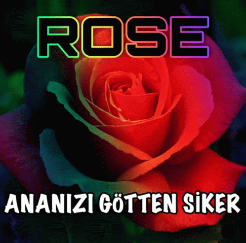 rose song with title text in background