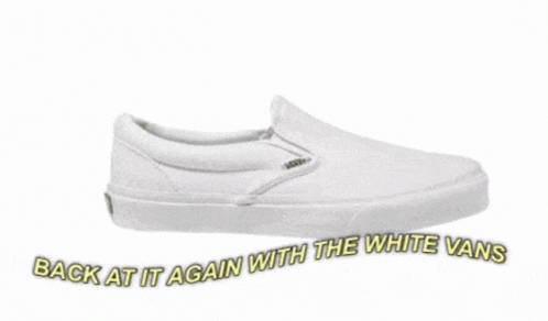 the back at it again with the white vans