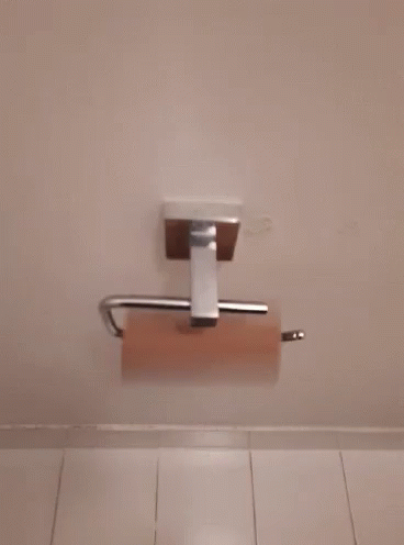 the toilet paper roll is on the wall with a holder