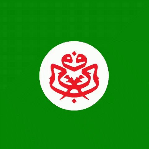 the symbol for the national emblem on the green screen