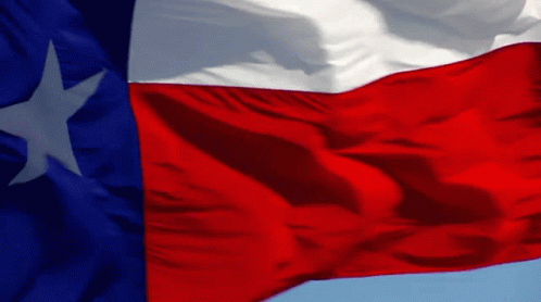 an image of a red white and blue flag