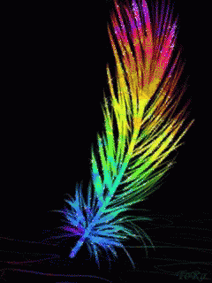 a feather is pictured in the image