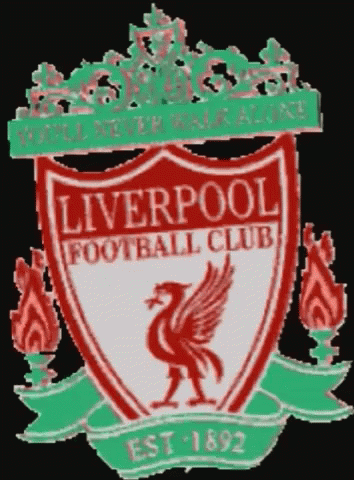 liverpool crest on black background with green trimming
