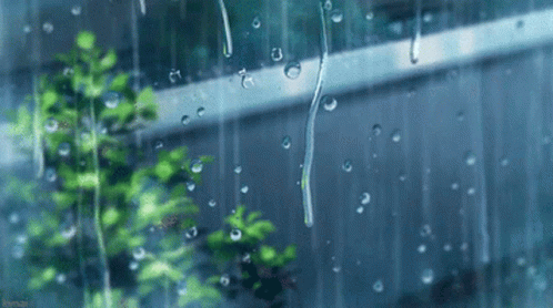 rain falling down on a window with a plant