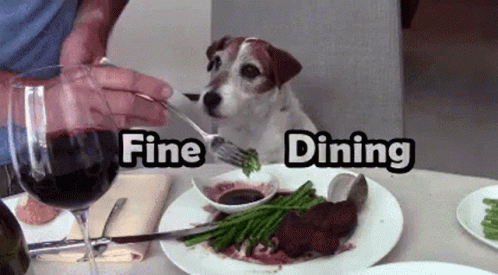 this is an image of a dog at the table