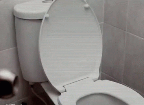a white toilet sitting in the corner of a bathroom